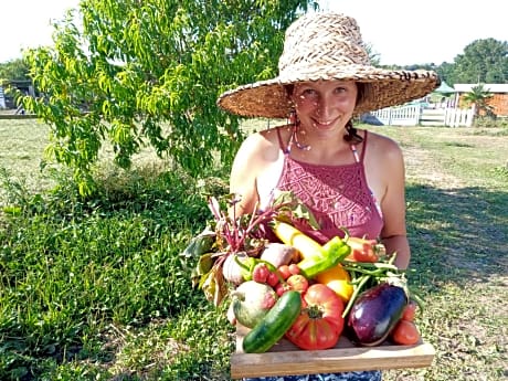 La petite ferme de Pouillon - Parc animalier - aire de loisirs