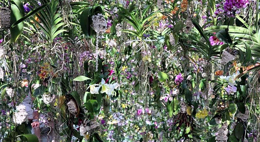 Hotel JAL City Tokyo Toyosu