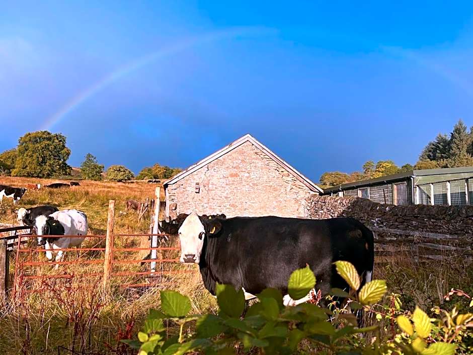 Stoneymollan over Loch Lomond