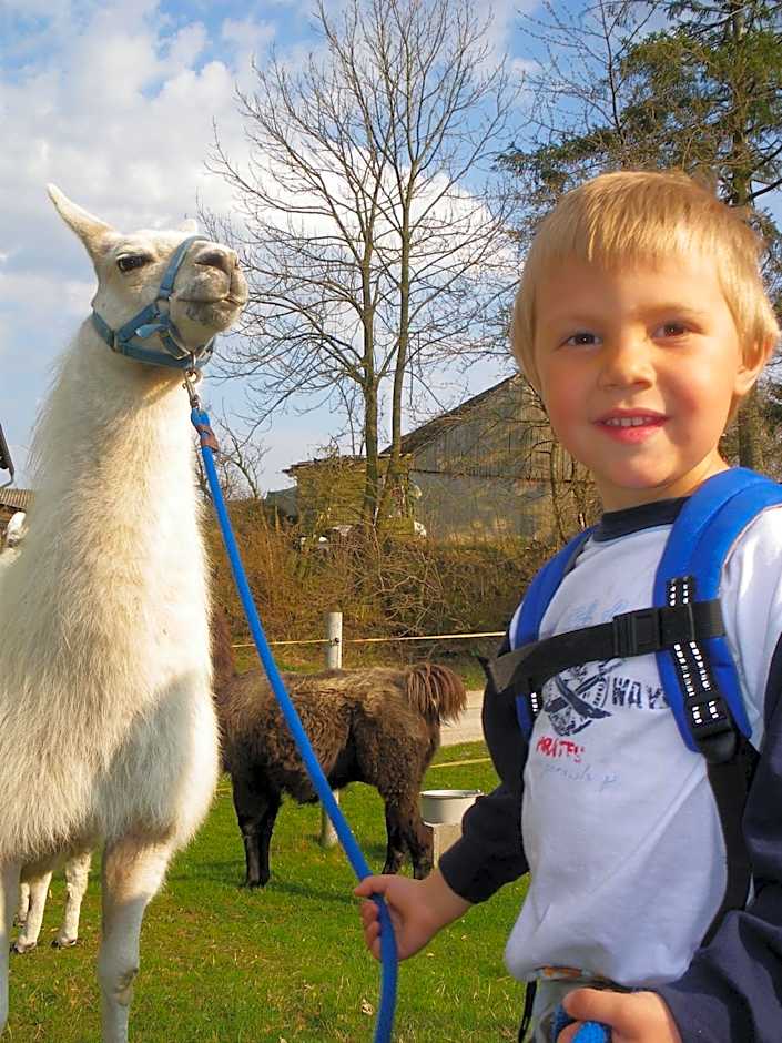 JUFA Hotel Waldviertel