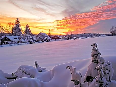 Landpension Pferdekoppel - B&B - Self Checkin