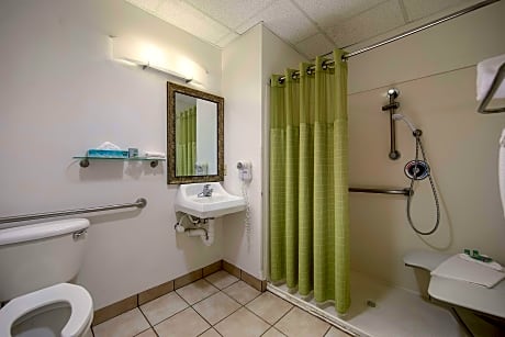 King Room with Roll-in Shower - Mobility Accessible/Non-Smoking