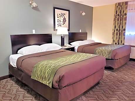 Double Room with Two Double Beds