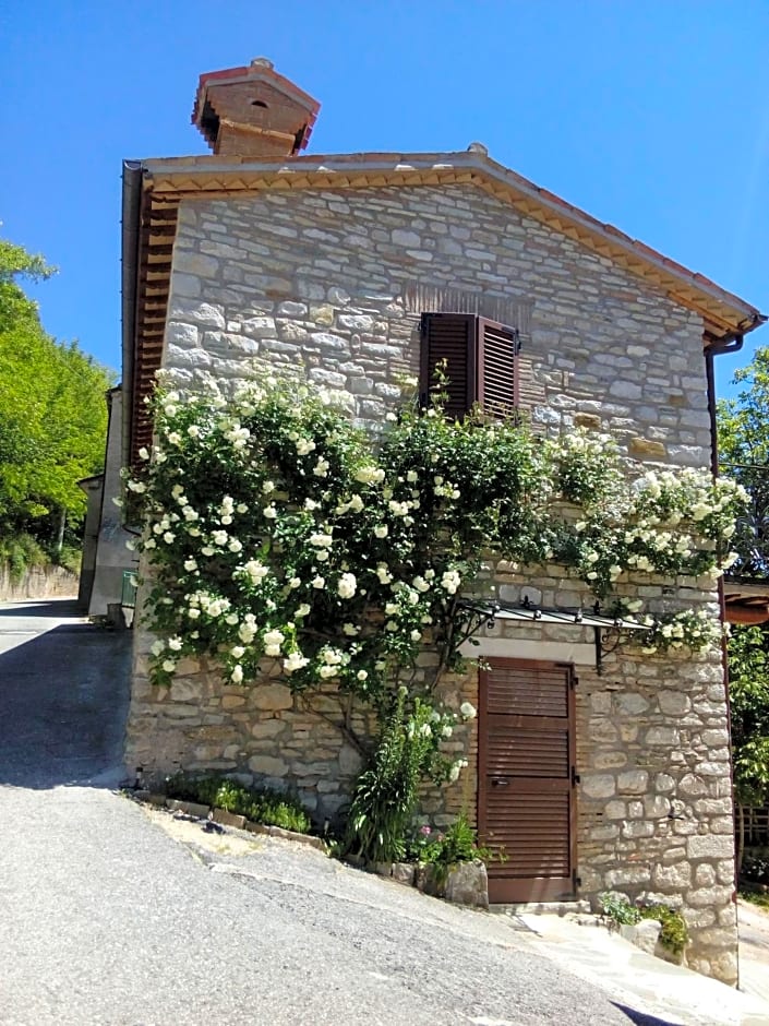 Bed & Breakfast SENTIERO 54