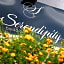 Serendipity B&B