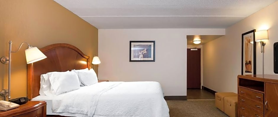 Hampton Inn Roanoke/Hollins - I-81