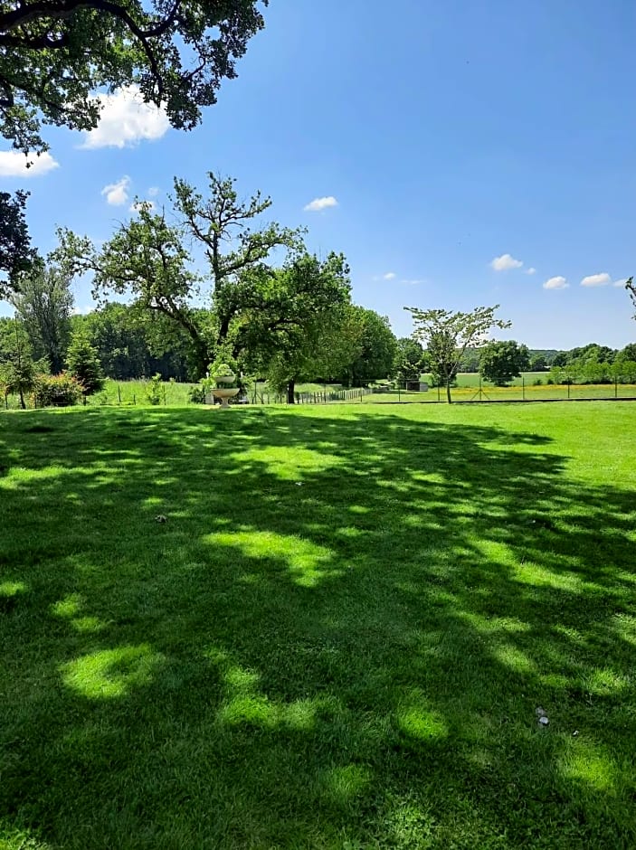 L'Orée des bois chambre lièrre