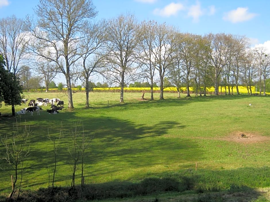 Le Chateau du grand Coudray