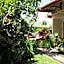Seminyak Paradiso Hotel