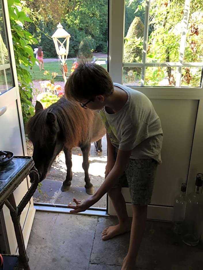 Château de Saint-Agoulin