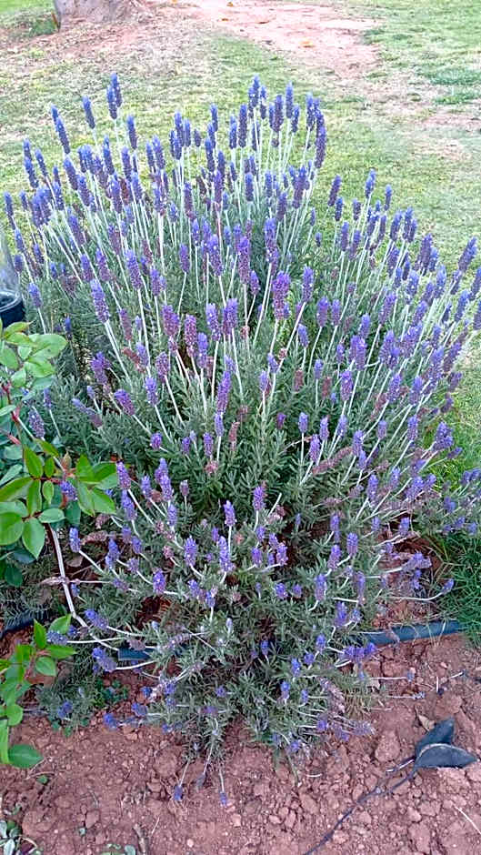 Kranskloof Country Lodge