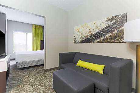 King Suite with Sofa Bed