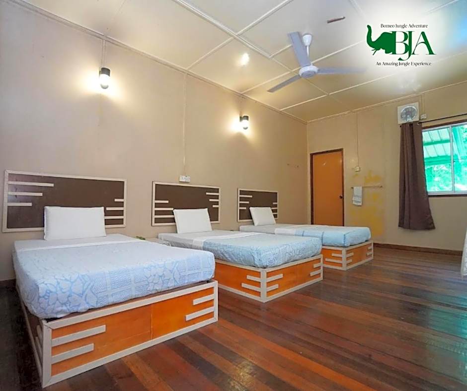 Borneo Jungle Adventure