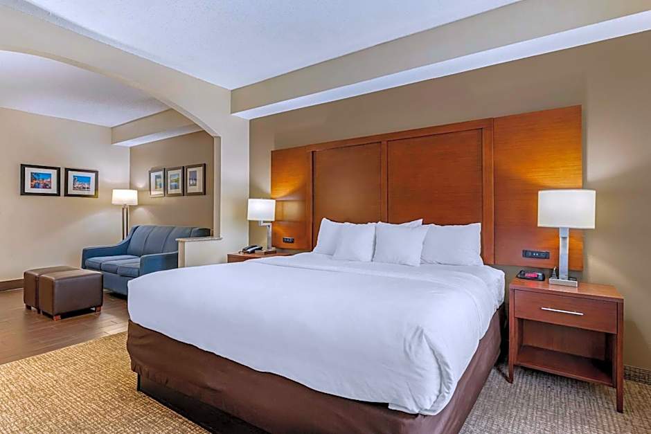 Comfort Inn & Suites Seguin