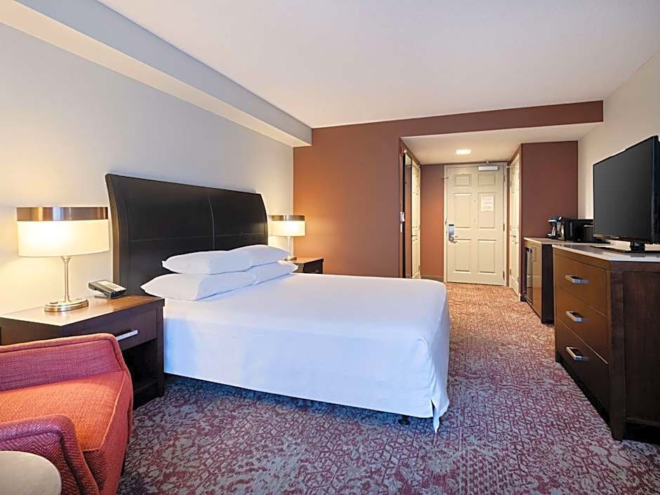 Hilton Garden Inn Chicago Downtown/Magnificent Mile