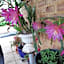 Mundaring Bed and Breakfast