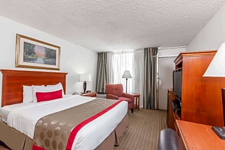 1 Queen Bed Non-Smoking