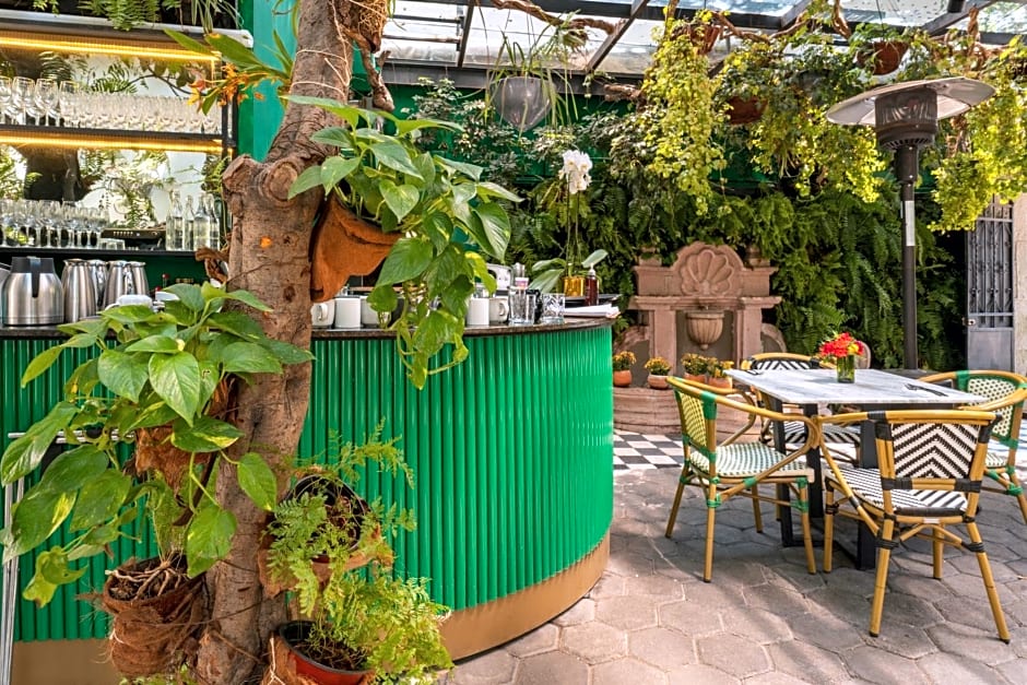 Orchid House Polanco