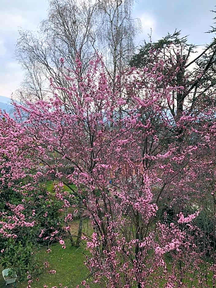 B&B COL DE LE MOLE - DOLOMITI BELLUNESI