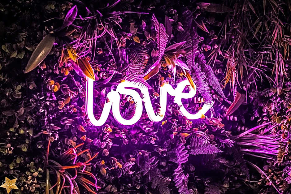 Loveroom Very Good Trip chambre avec jacuzzi privatif