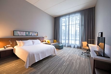 Premium King Room