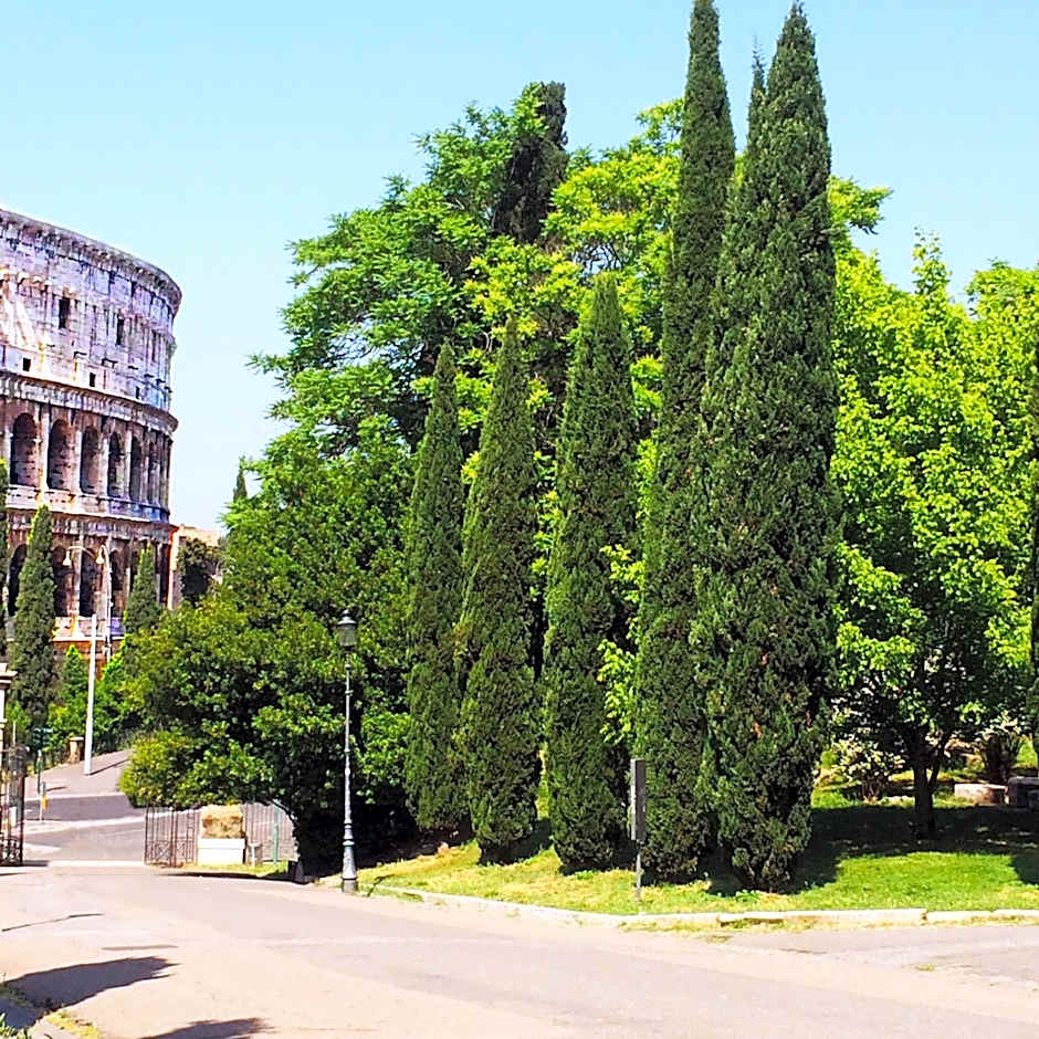 MICLAD Colosseum Guest House