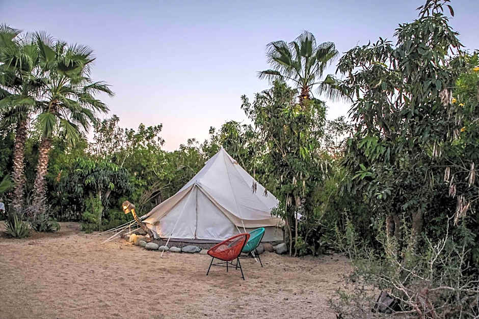 Todos Santos Hostel super fast and stable satellite wifi