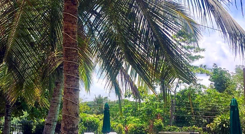 Asian Jewel Boutique Hotel