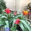 B&B Villa Rocchi