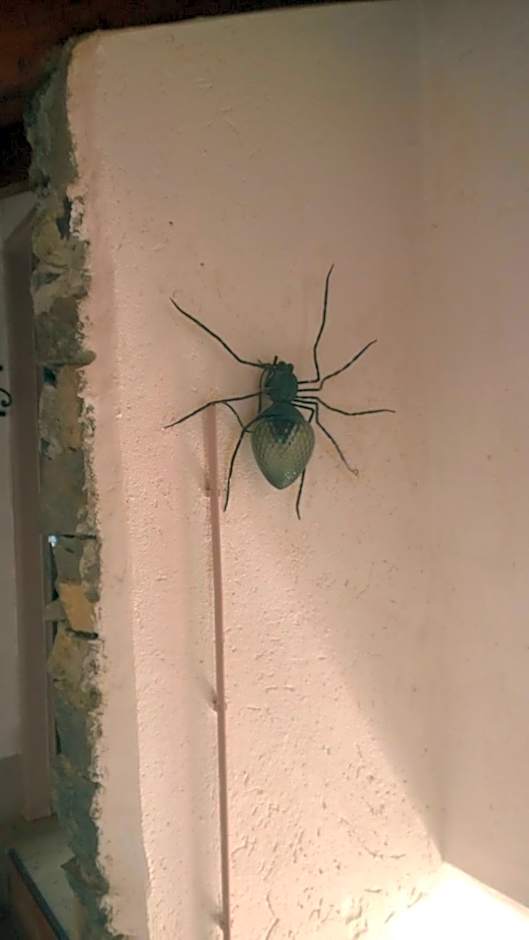 B&B "A Casa di Camilla"