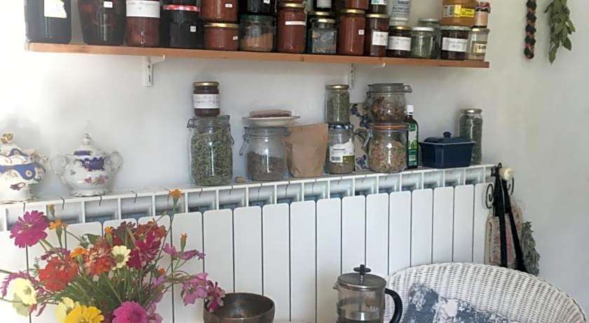 Les Asphodeles Amelie