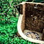 Kilima Private Game Reserve & Spa
