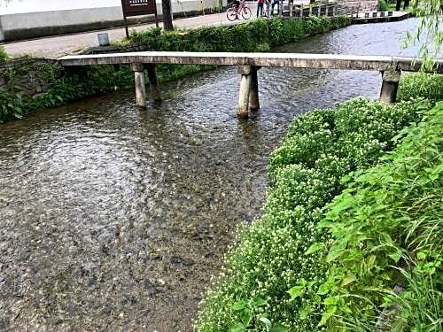 Kyoto Higashiyama With