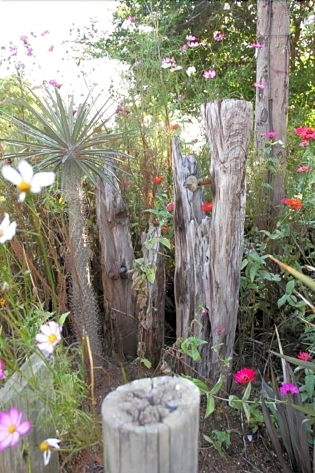 Glenda S Guest Suites