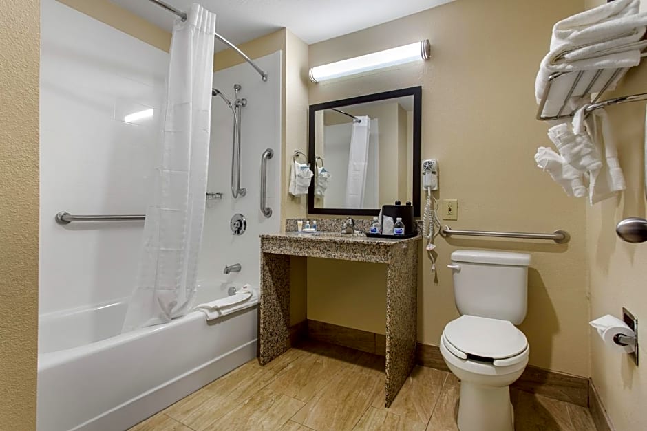 Comfort Inn Asheville-Tunnel Road East