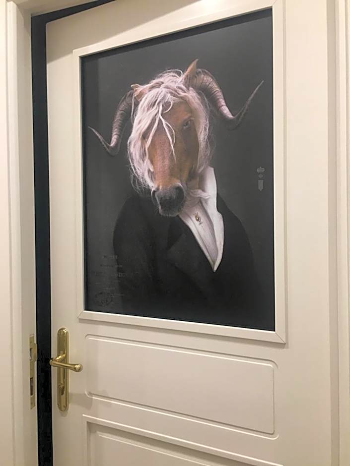 Eleventh Floor Suites