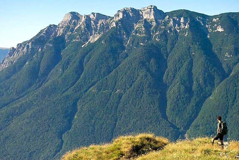 Hotel Alpenrose Wellness