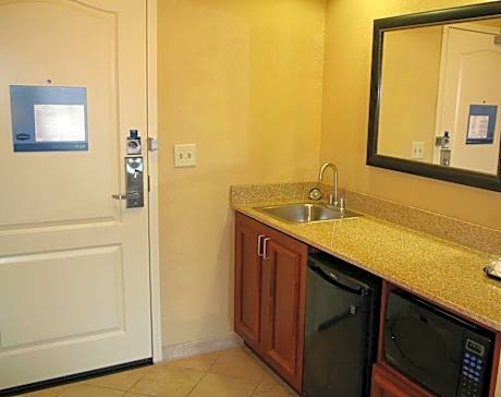 1 King Bed Studio Suite Nonsmoking