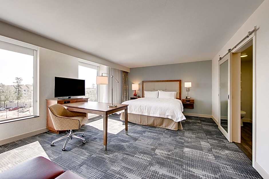 Hampton Inn By Hilton & Suites North Houston Spring