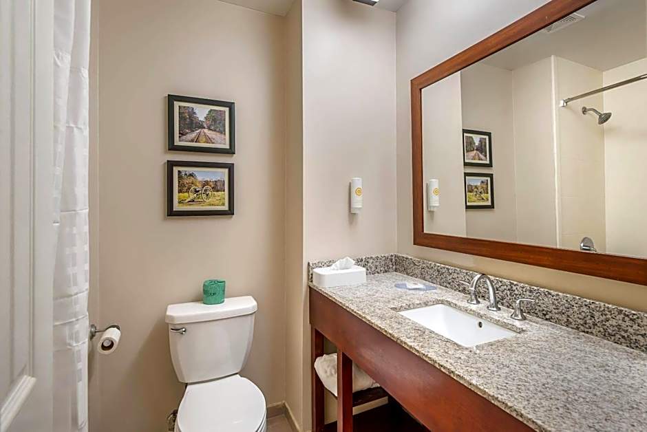 Comfort Inn Petersburg Fort Lee Area