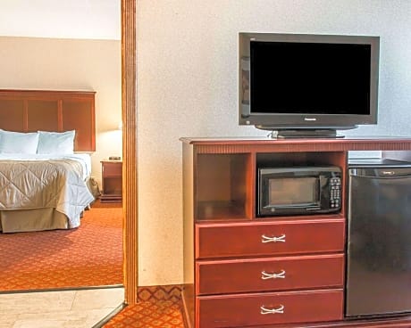 1 King Bed, Suite, Nonsmoking