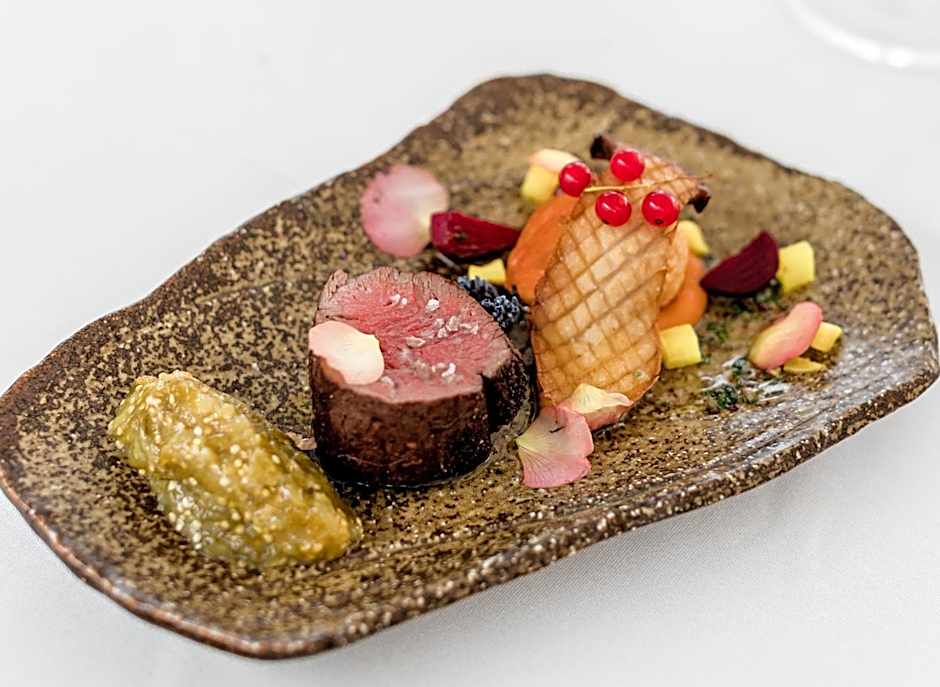 Monte Pacis Hotel In Pažaislis - Pets travel for FREE in February