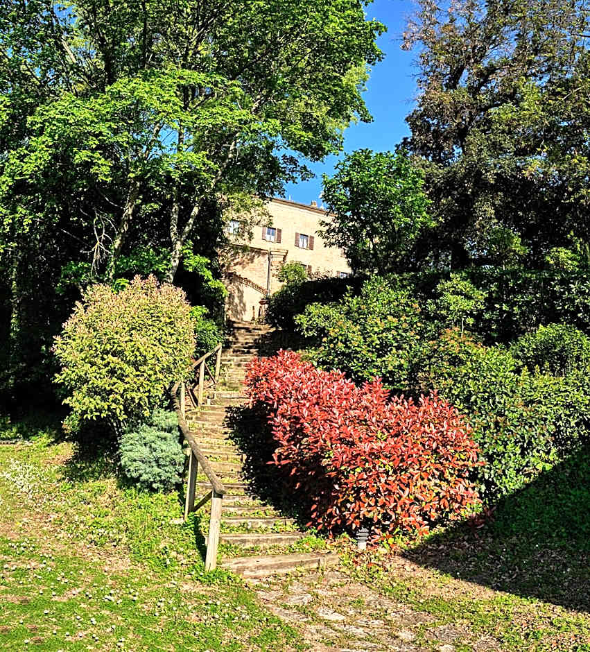 Palazzo Viviani - Castello di Montegridolfo