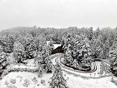 Welcomhotel by ITC Hotels, Pine N Peak, Pahalgam