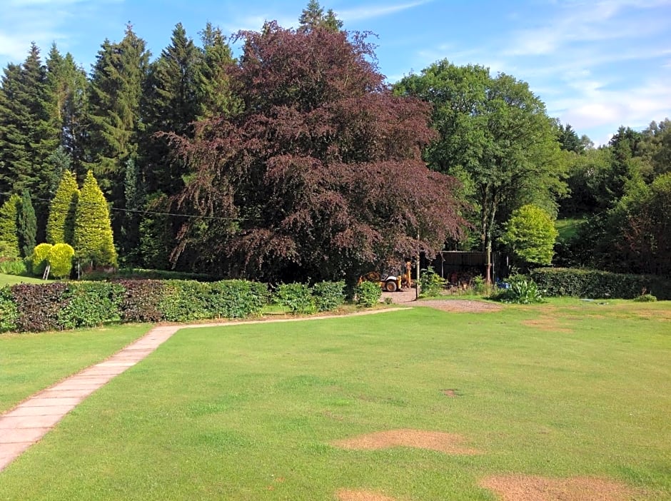 lyne view, log cabin