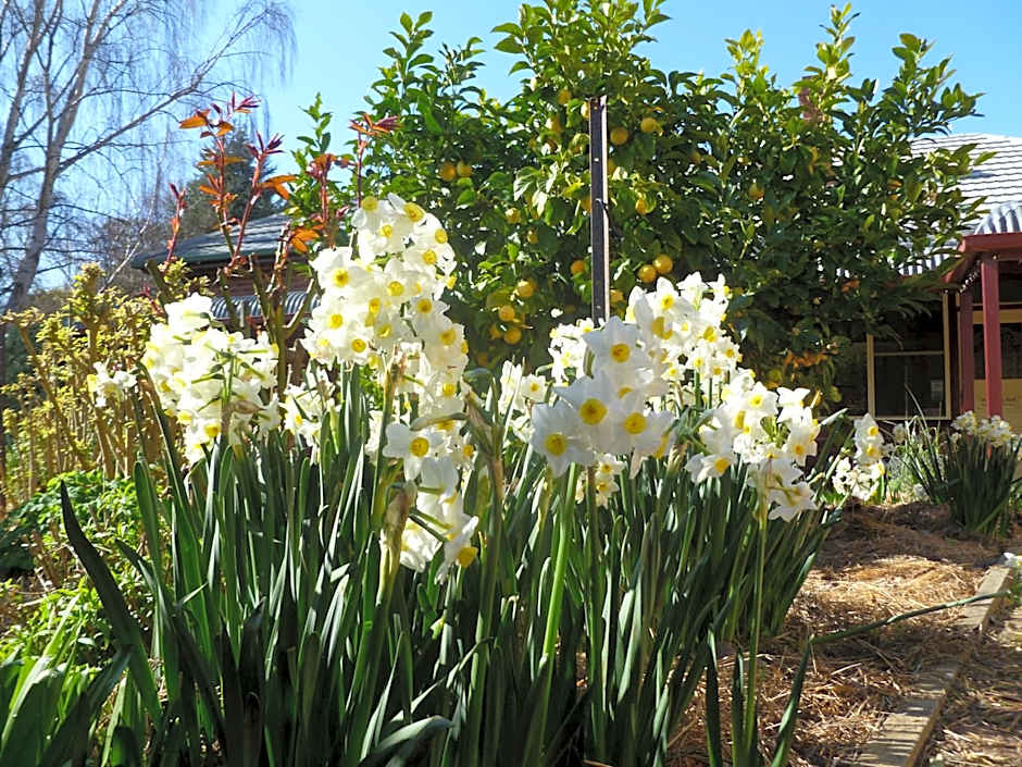 Donalea Bed & Breakfast