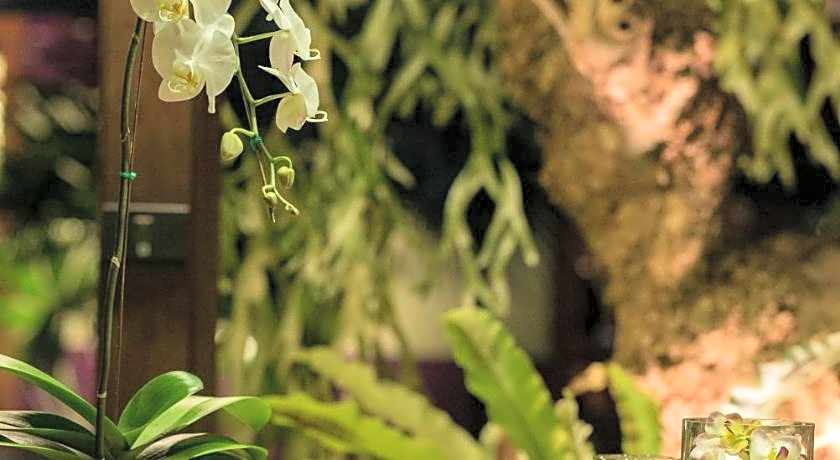 Chandra Residence, luxury, warmth and playfulness!