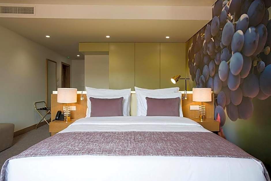 Douro Castelo Signature Hotel & Spa