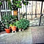 B&B IV Vico