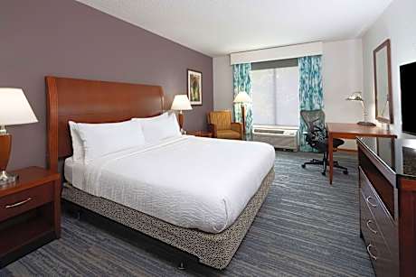 1 King 1 Bedroom Suite With Sleeper Sofa